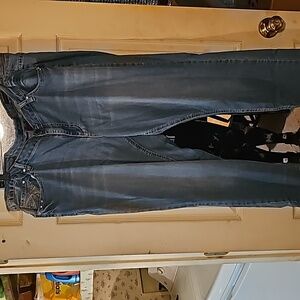 Earl Jeans size 22W Skinny